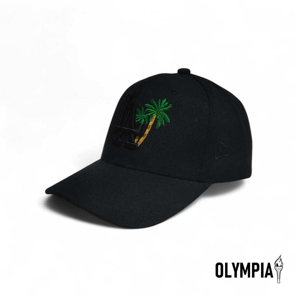 Doodgers' Palm Tree Black On Black Snapback